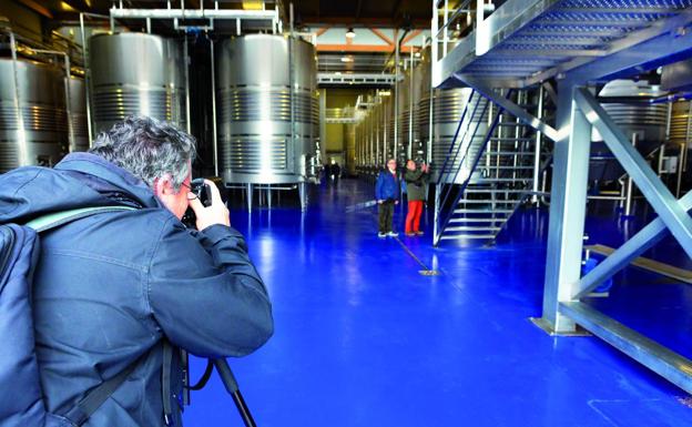 Viñedos de Aldeanueva. En la sala de los depósitos.