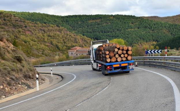 Un camión transita por las curvas del paso de Tómalos en Torrecilla en Cameros. 