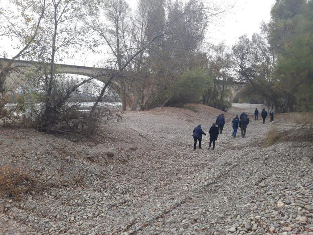 El 'curage' habilita caminos o ramales en los márgenes del Ebro para darle salida en caso de crecida. :: che