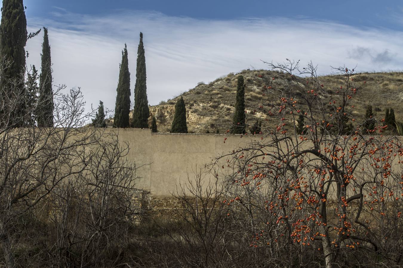 Los últimos datos del padrón confirman las cifras alarmantes de despoblación en el Alhama-Linares | La comarca de Cervera ha perdido casi un 60 por ciento de sus habitantes en los últimos cincuenta años 