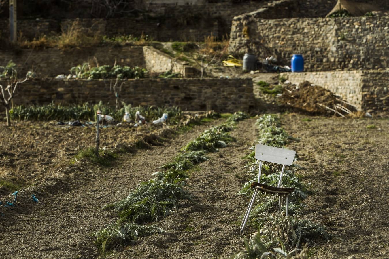 Los últimos datos del padrón confirman las cifras alarmantes de despoblación en el Alhama-Linares | La comarca de Cervera ha perdido casi un 60 por ciento de sus habitantes en los últimos cincuenta años 