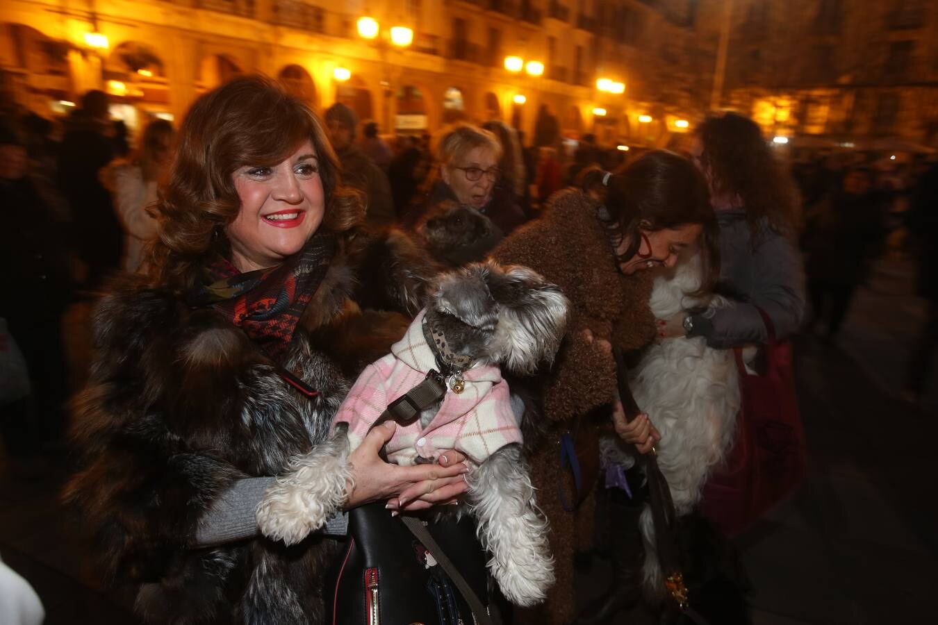 Los logroñeses bendicen a sus mascotas