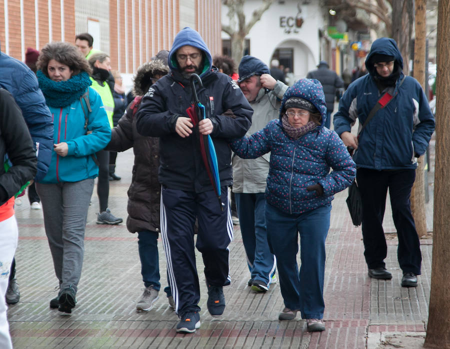 A pesar del tiempo desapacible, los ciudadanos se unieron a la iniciativa en Logroño