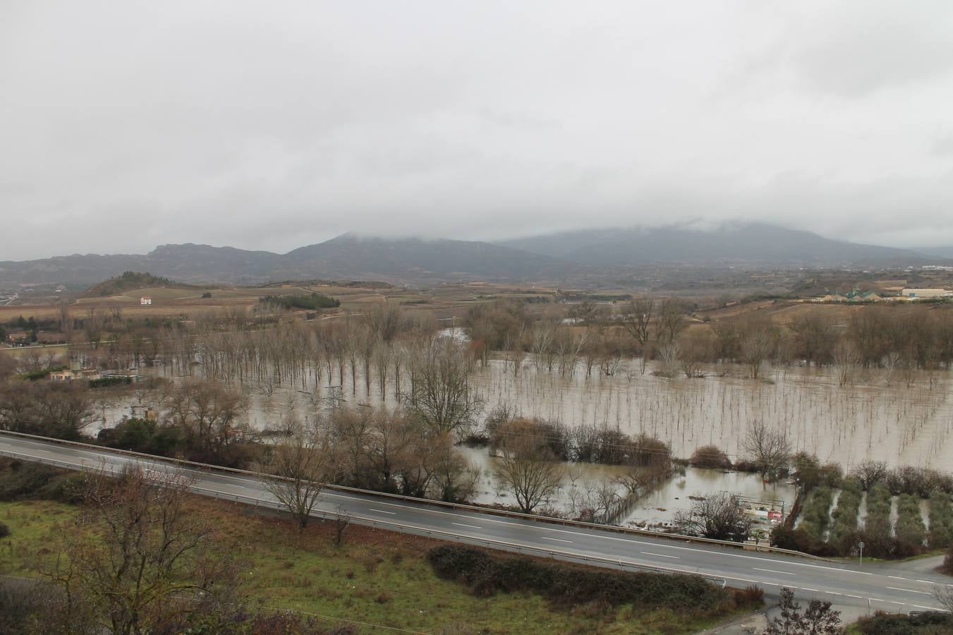 Fotos: Las lluvias provocan que los campos se aneguen en Haro