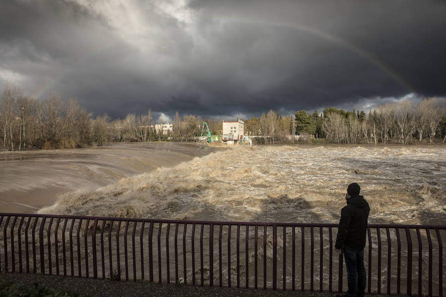 Numerosos ciudadanos se acercaron a ver las revueltas aguas durante la jornada