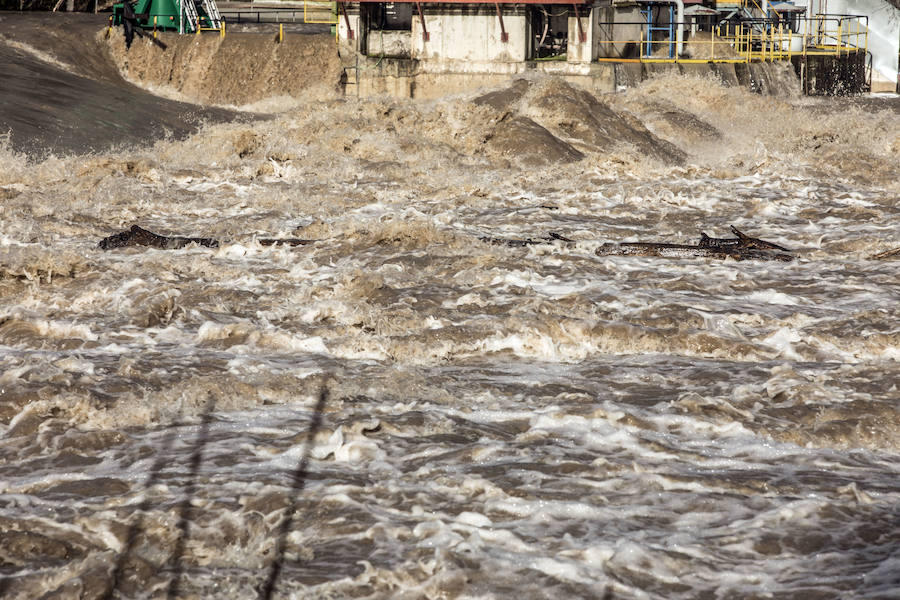 Numerosos ciudadanos se acercaron a ver las revueltas aguas durante la jornada