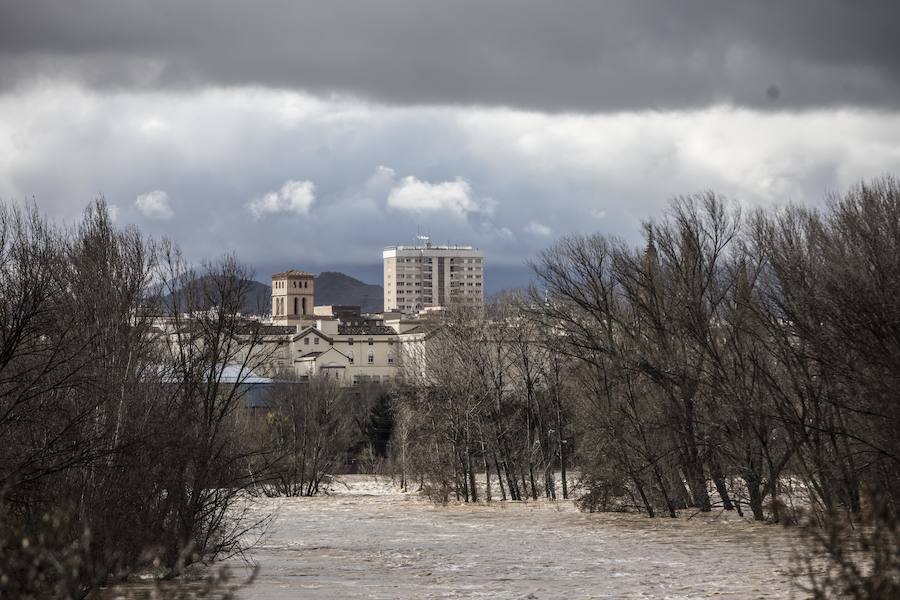 Numerosos ciudadanos se acercaron a ver las revueltas aguas durante la jornada