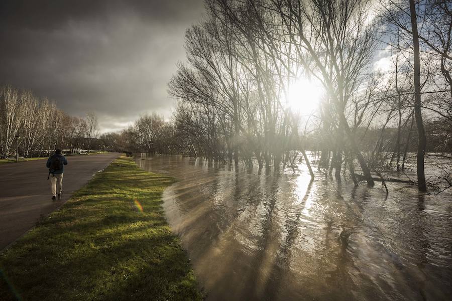 Numerosos ciudadanos se acercaron a ver las revueltas aguas durante la jornada