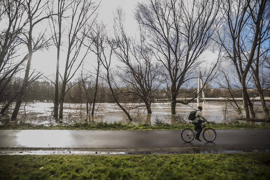 Numerosos ciudadanos se acercaron a ver las revueltas aguas durante la jornada