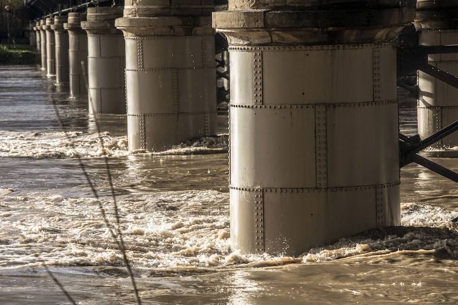 Numerosos ciudadanos se acercaron a ver las revueltas aguas durante la jornada