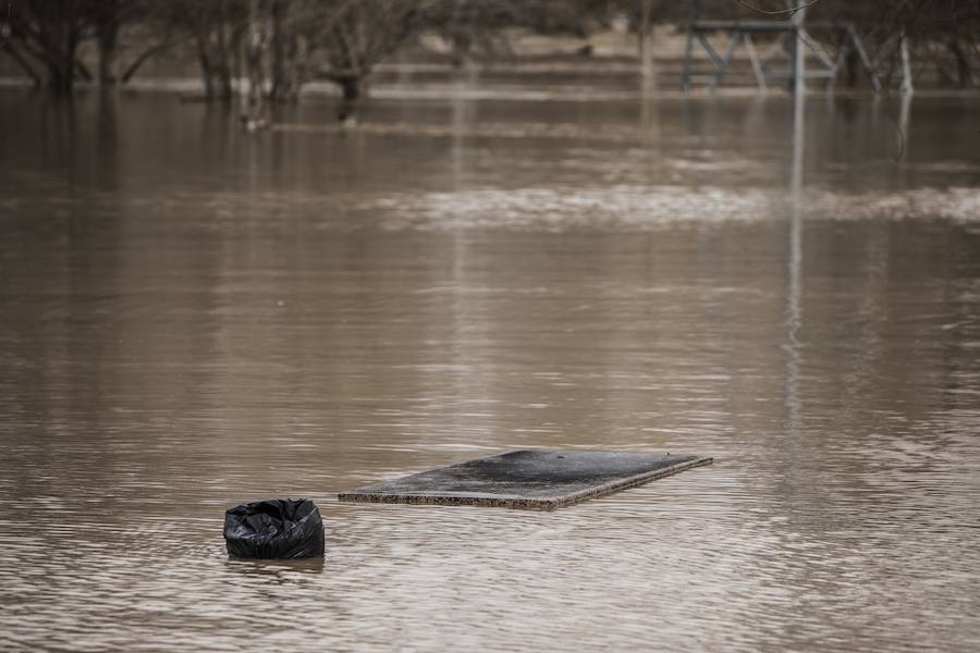 Numerosos ciudadanos se acercaron a ver las revueltas aguas durante la jornada