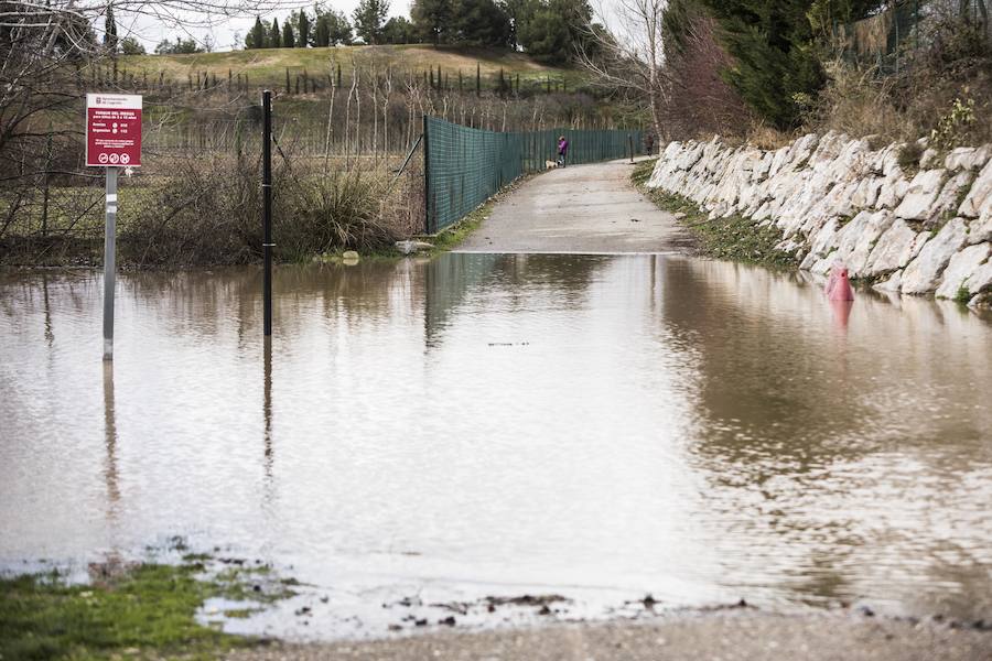 Numerosos ciudadanos se acercaron a ver las revueltas aguas durante la jornada