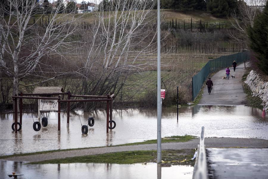 Numerosos ciudadanos se acercaron a ver las revueltas aguas durante la jornada