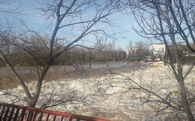 Imagen del Ebro esta mañana en el Parque del Ebro, a la altura del salto de agua 