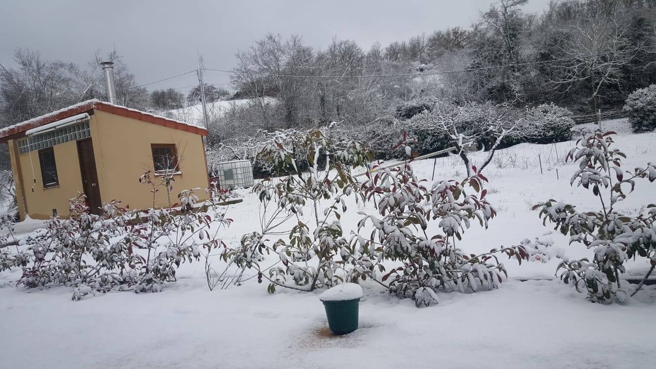 Fotos: La Rioja se tiñe de blanco (II)