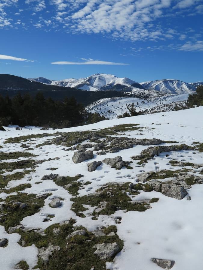 Después de un fin de semana de nieve y frío, El Rasillo comienza la semana con sol y deja unas preciosas imágenes