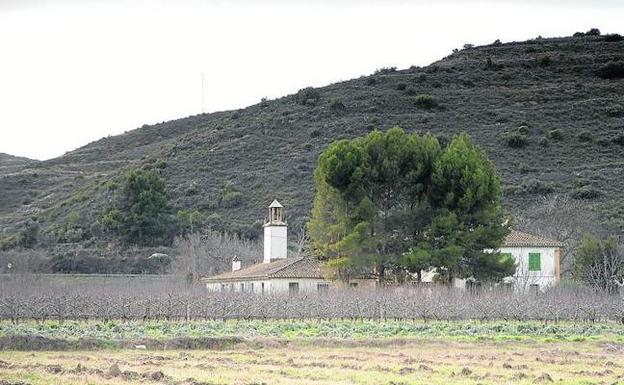La finca 'La Gabardilla' se reconvertirá en un olivar con 20.000 árboles