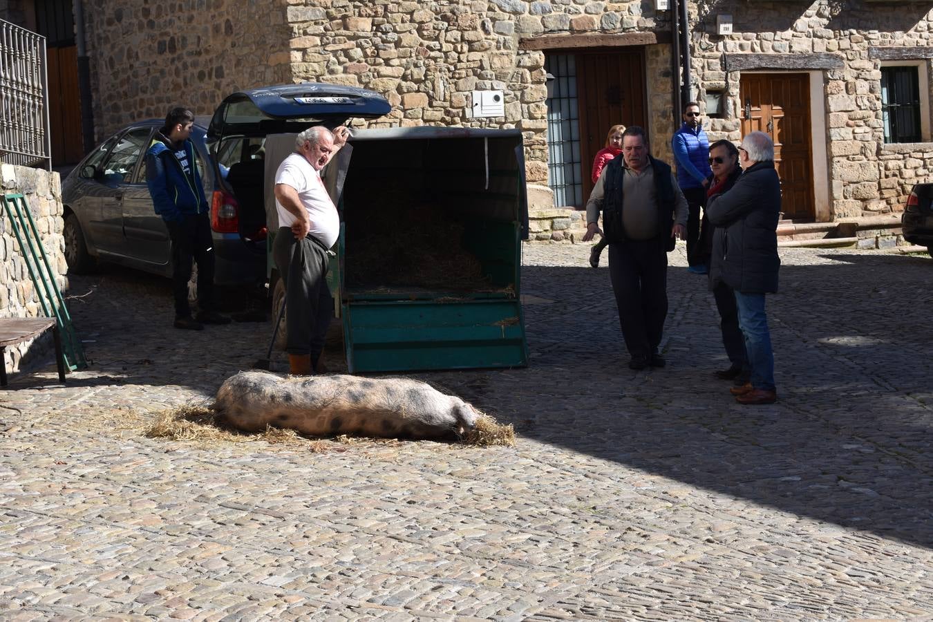 XXI Jornadas de la Moraga en San Román de Cameros.