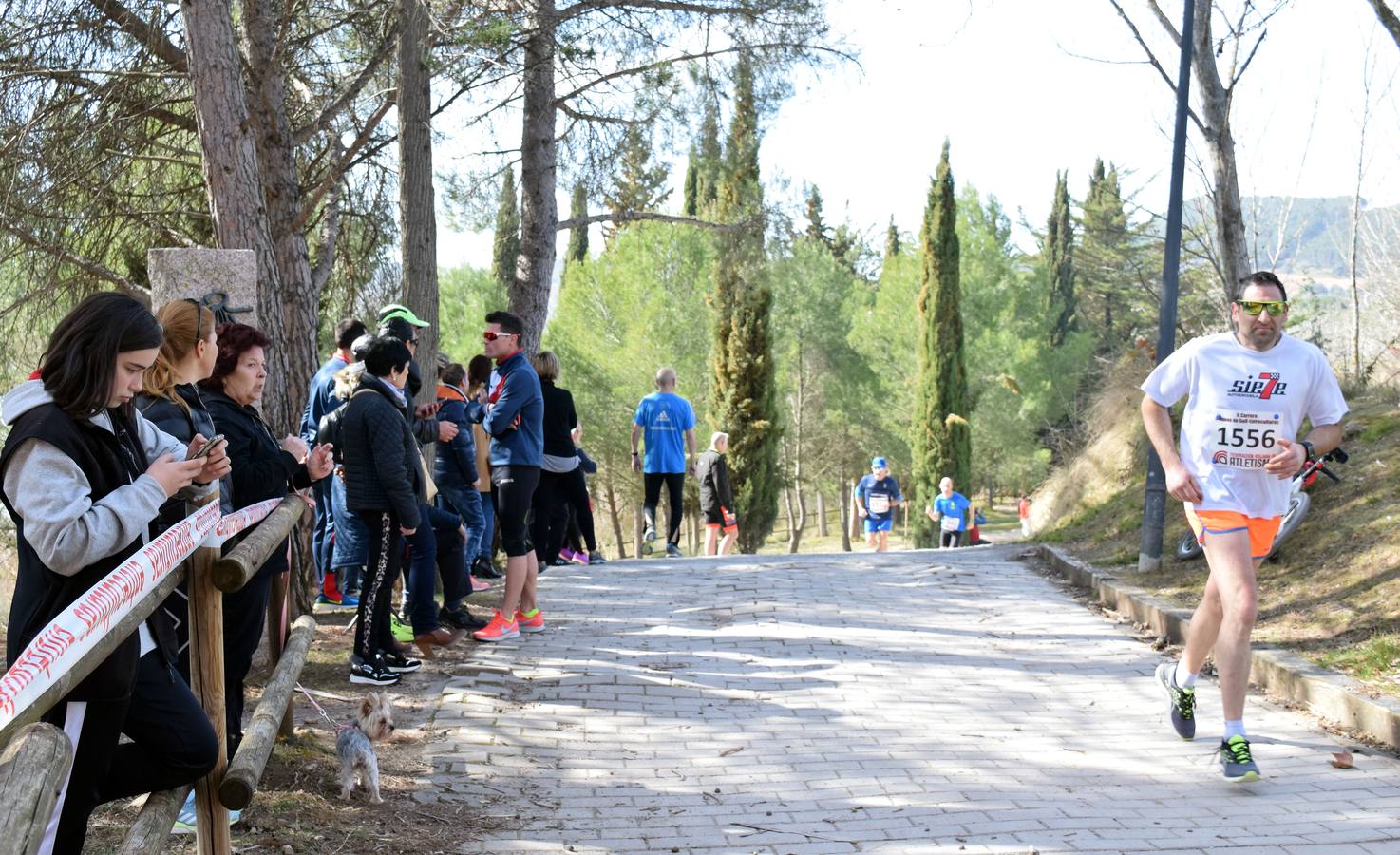 Fotos: Carrera &#039;Entre culturas&#039; en La Grajera