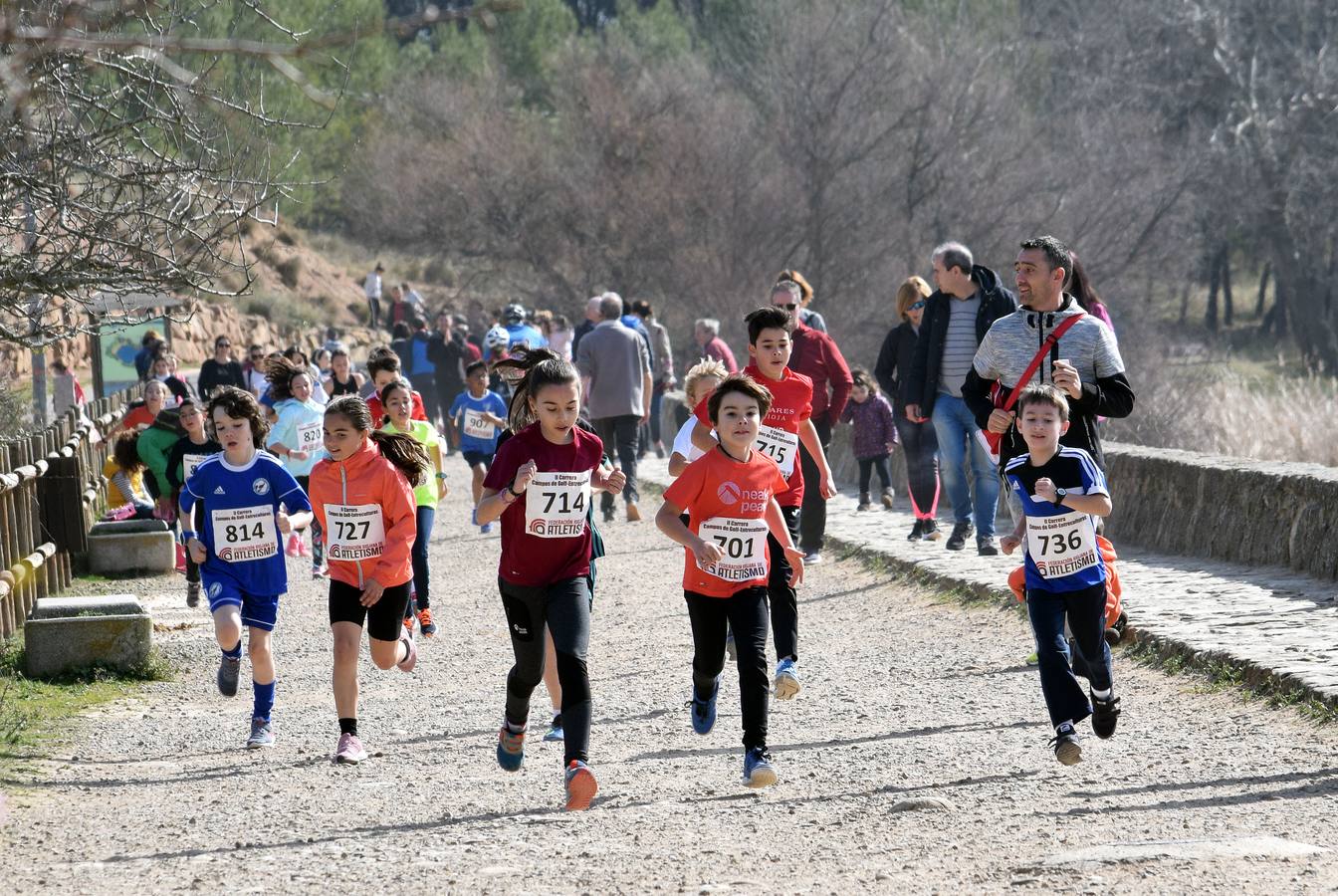 Fotos: Carrera &#039;Entre culturas&#039; en La Grajera