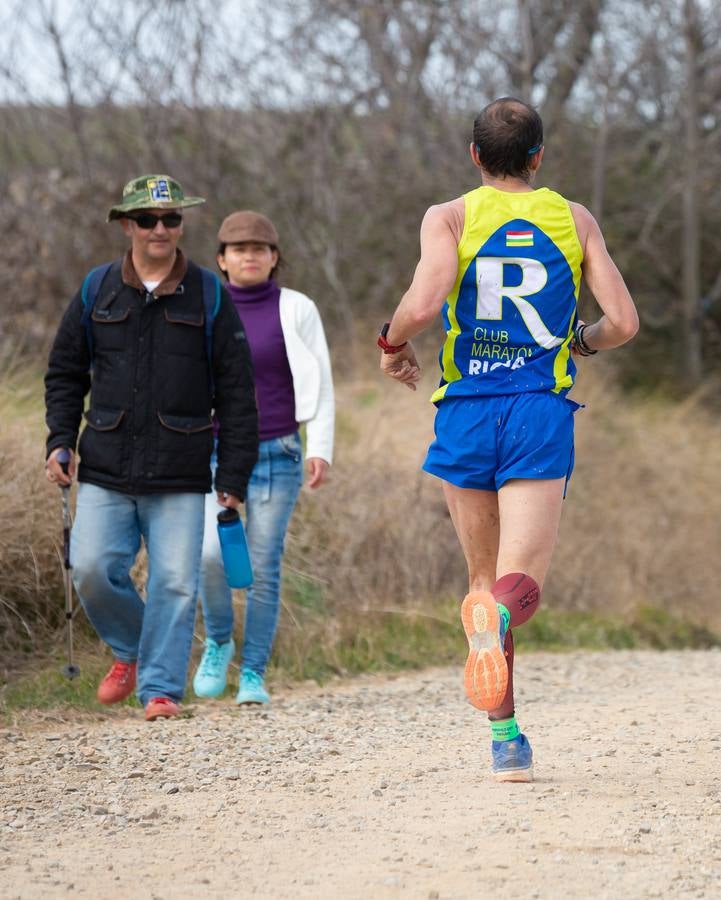 Fotos: Media Maratón del Camino (I)