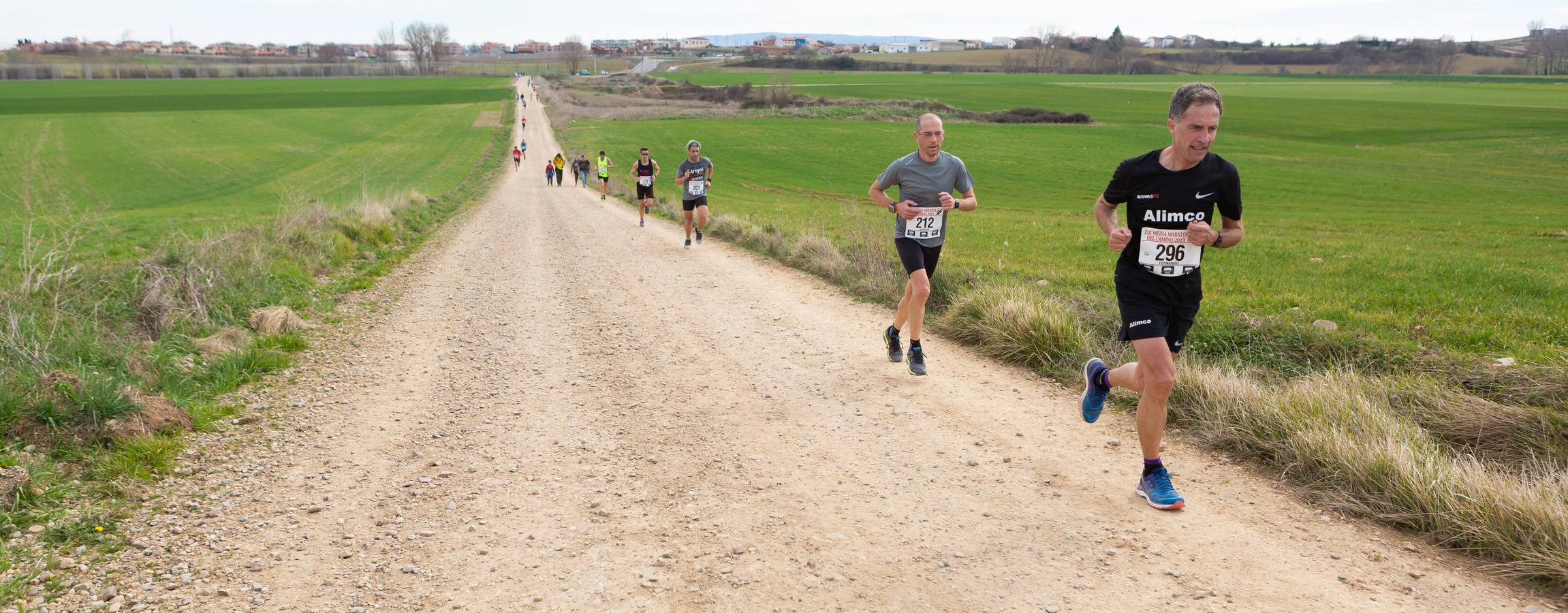 Fotos: Media Maratón del Camino (I)