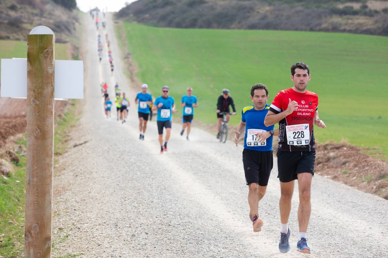 Fotos: Media Maratón del Camino (II)