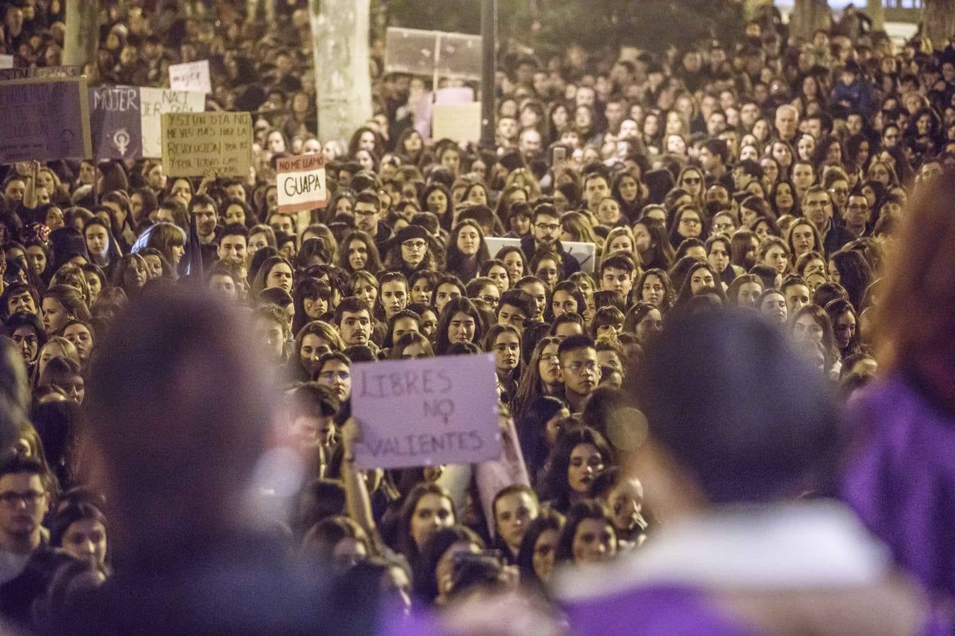 Fotos: La manifestación del Día de la Mujer llena al anocchecer las calles de Logroño