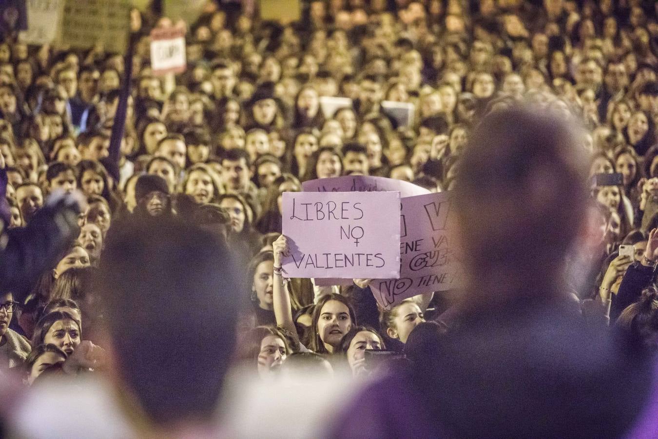 Fotos: La manifestación del Día de la Mujer llena al anocchecer las calles de Logroño