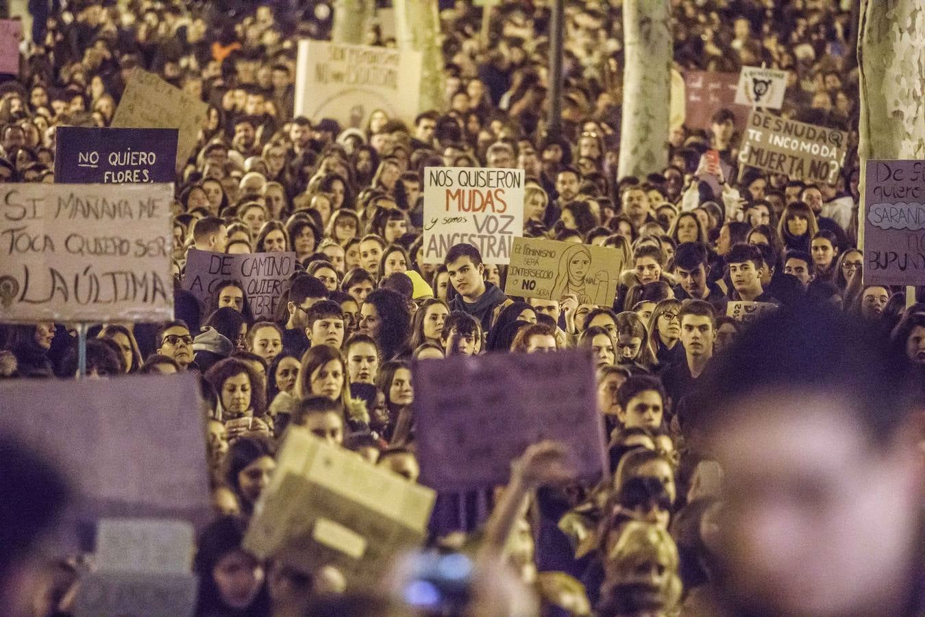 Fotos: La manifestación del Día de la Mujer llena al anocchecer las calles de Logroño