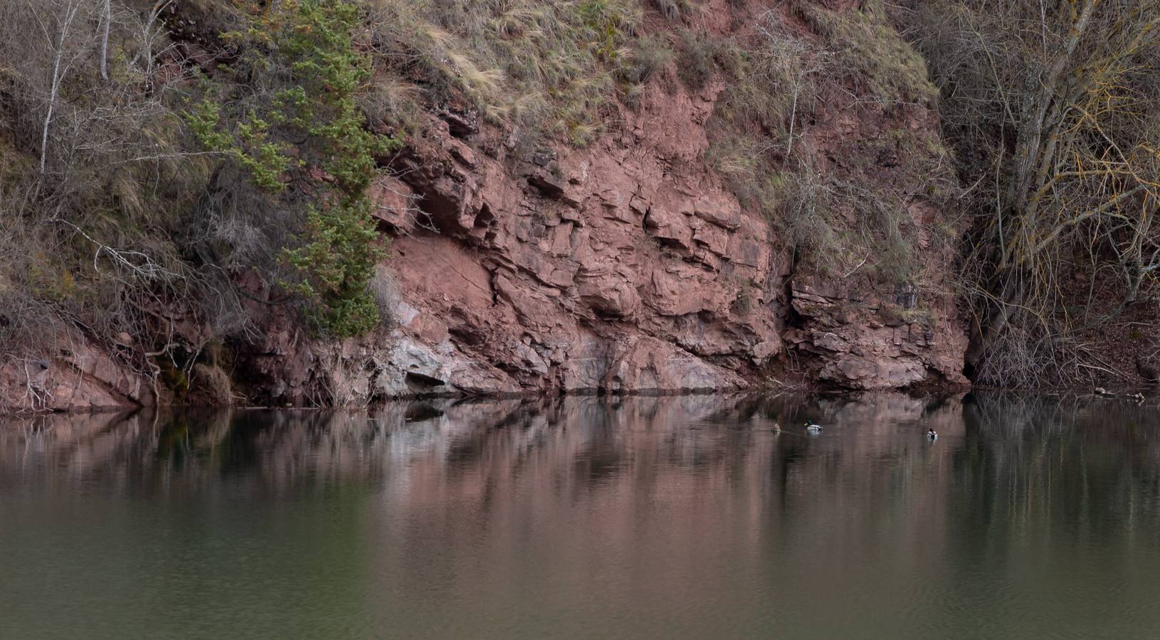 Fotos: Estado del pantano de Mansilla y sus alrededores