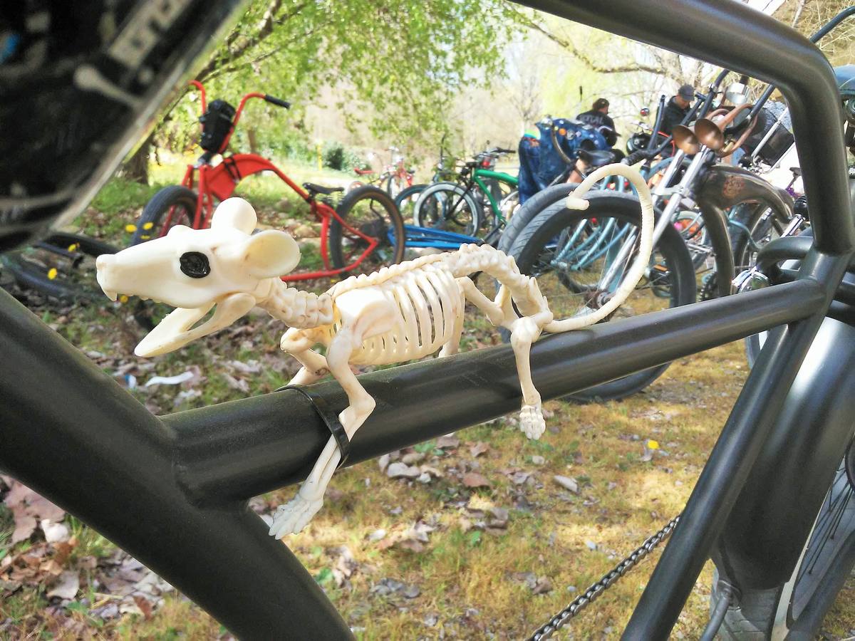 Un pelotón de máquinas artesanas y tuneadas se concentra y pasea por la capital riojana