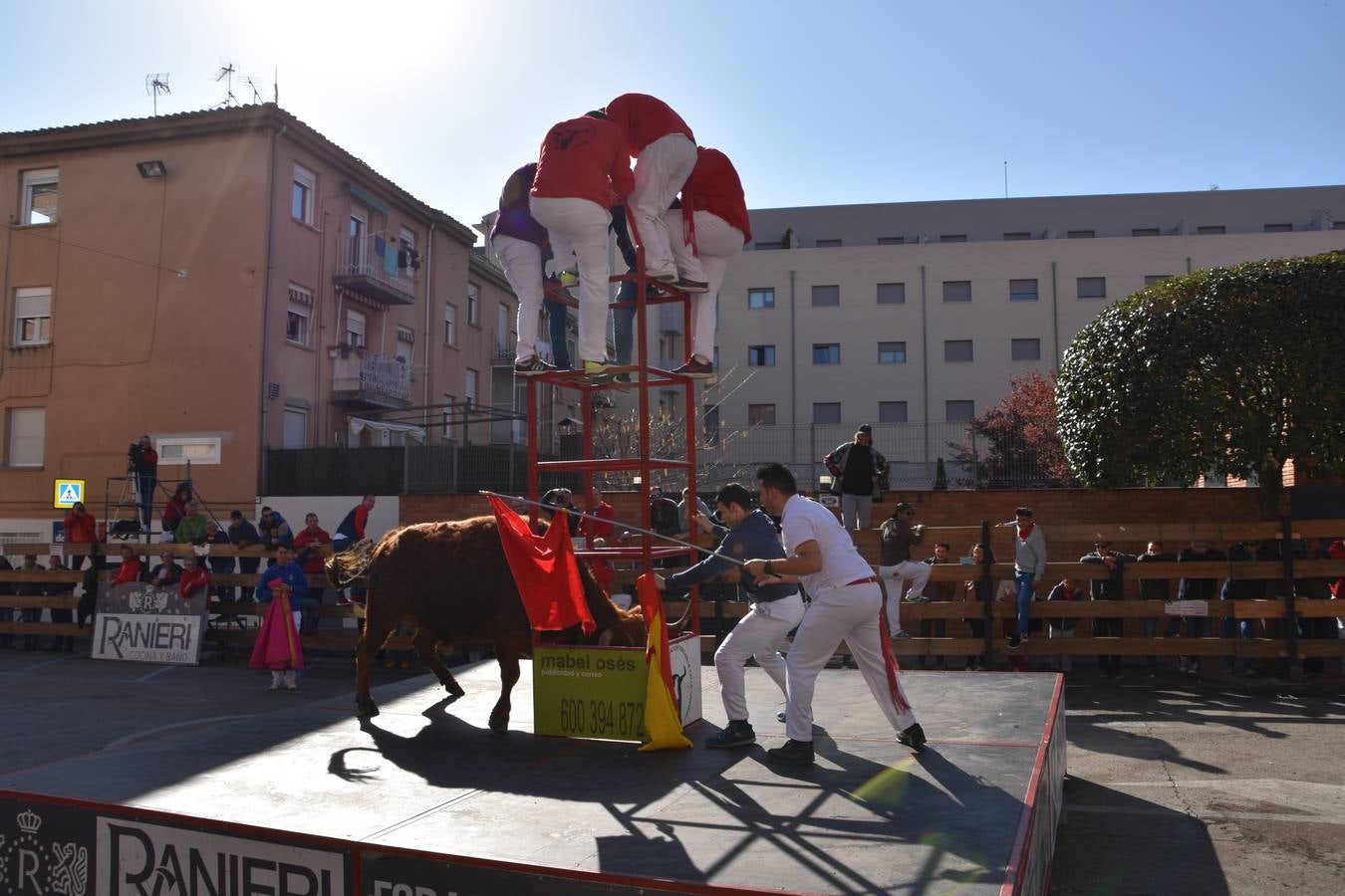 Imágenes de los actos celebrados el sábado por la mañana