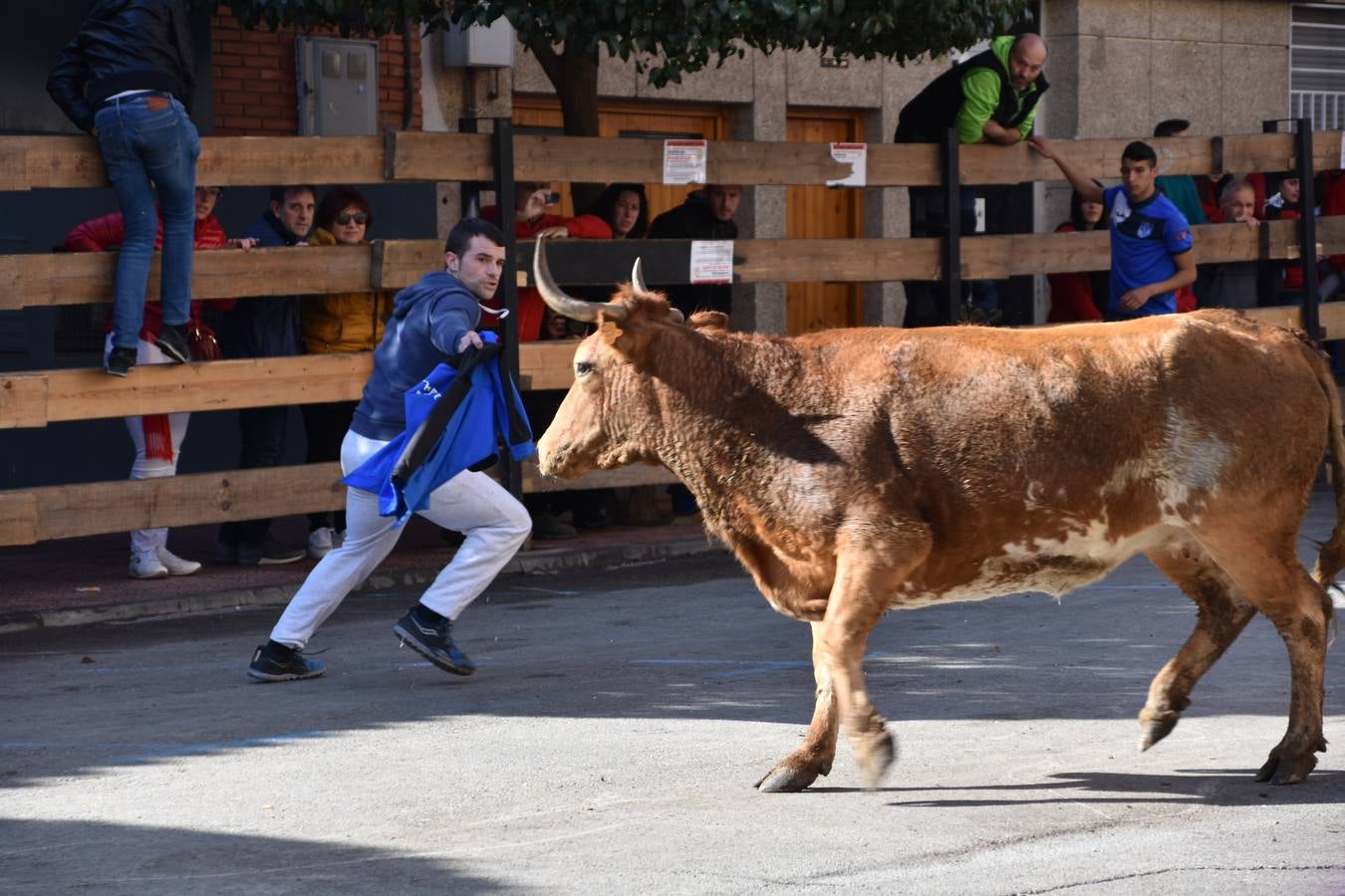Imágenes de los actos celebrados el sábado por la mañana