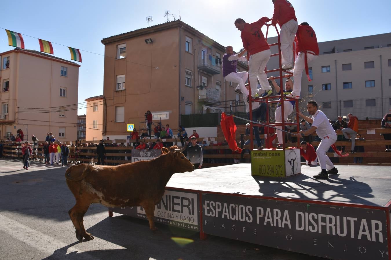 Imágenes de los actos celebrados el sábado por la mañana