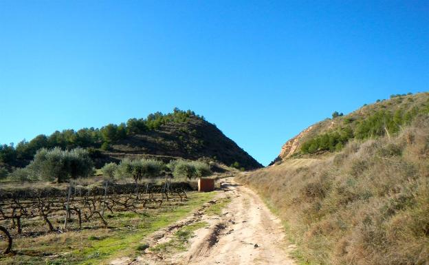 Imagen principal - Paso de las Dos Tetas, guadaviñas en el Camino de los Judíos y frutales en el término de Entrena. 