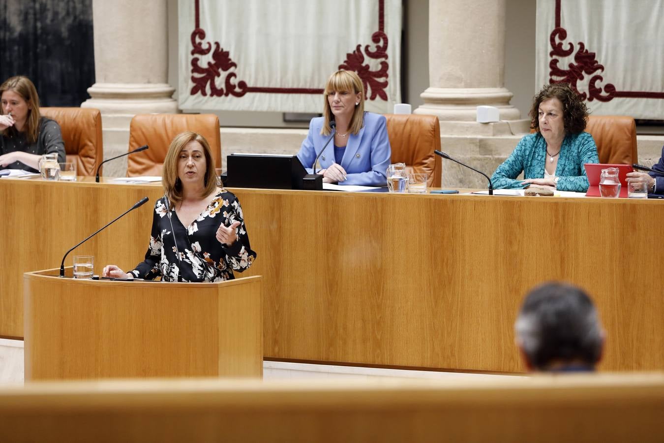 Fotos: Pleno en el Parlamento, los gestos y las conversaciones