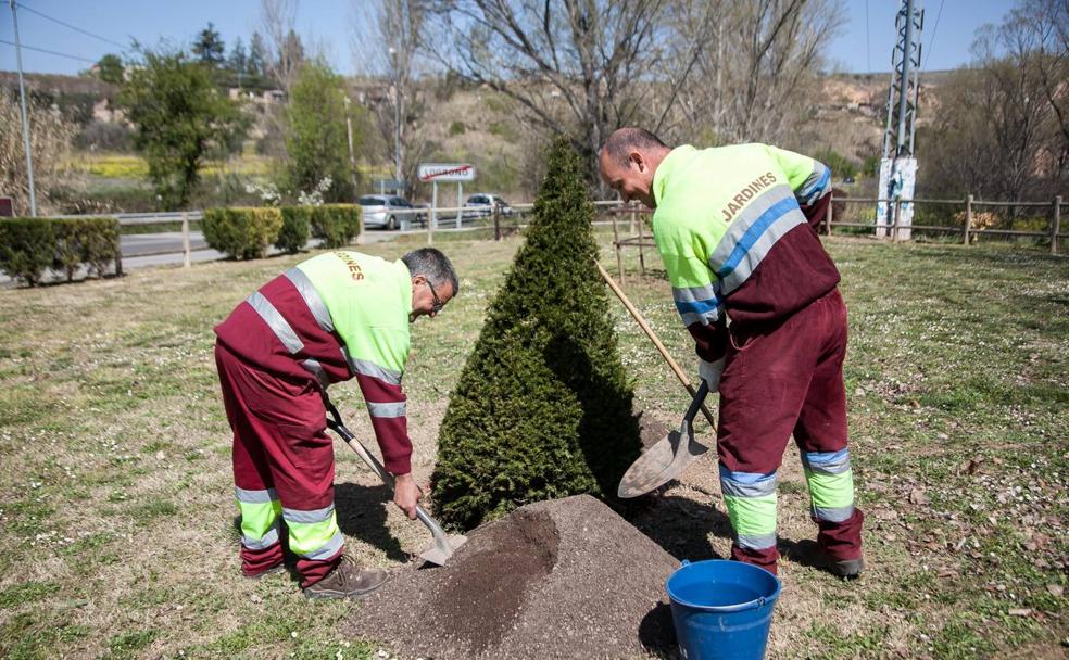 Operarios del Ayuntamiento plantan un tejo, la semana pasada, en el Pozo Cubillas. 