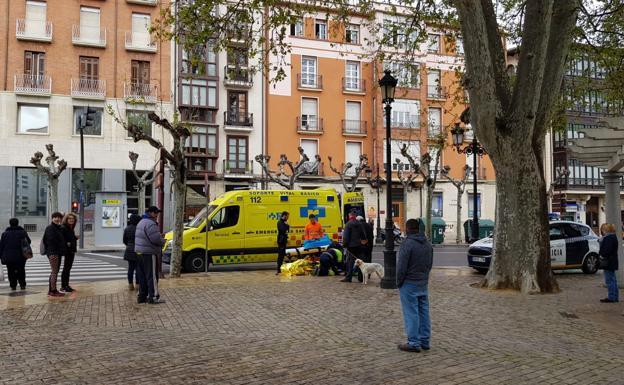 Herida una mujer tras resbalar en la Glorieta del Doctor Zubía