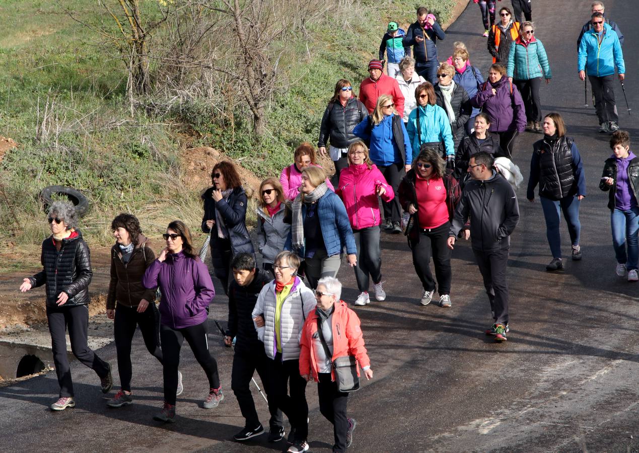 Más de 900 personas han participado este domingo en el segundo Paseo Saludable de esta edición, que ha coincidido con la celebración del Día Mundial de la Salud.