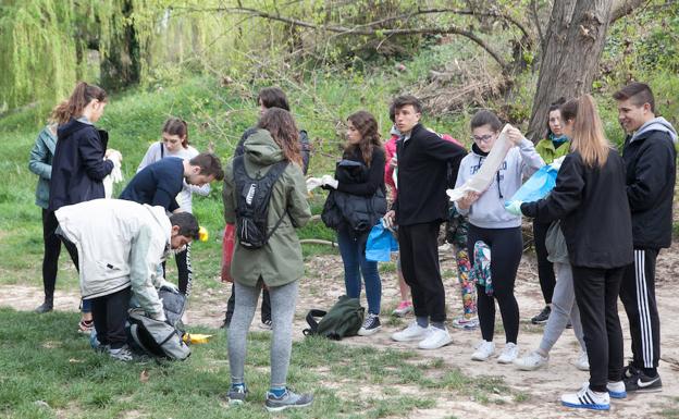 Los jóvenes dispiniéndose a limpiar las orillas del Ebro.