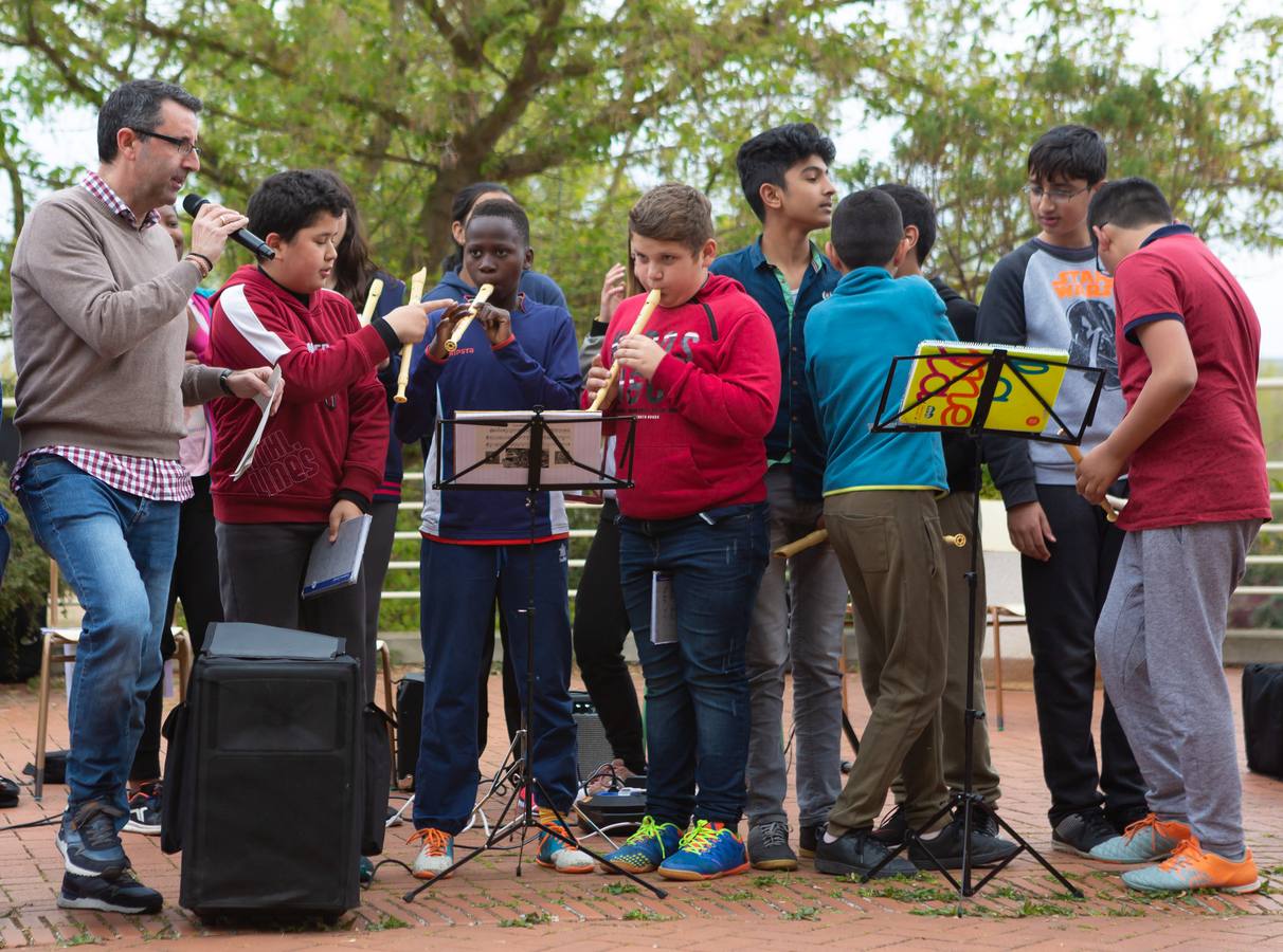 Fotos: Escolares riojanos celebran Musiqueando frente al centro Navarrete El Mudo