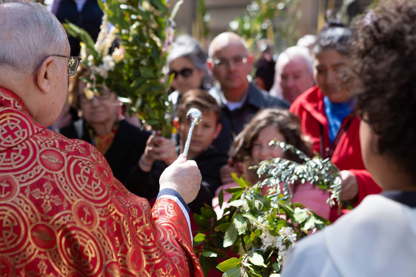 Fotos: La procesión de La Borriquita en Logroño