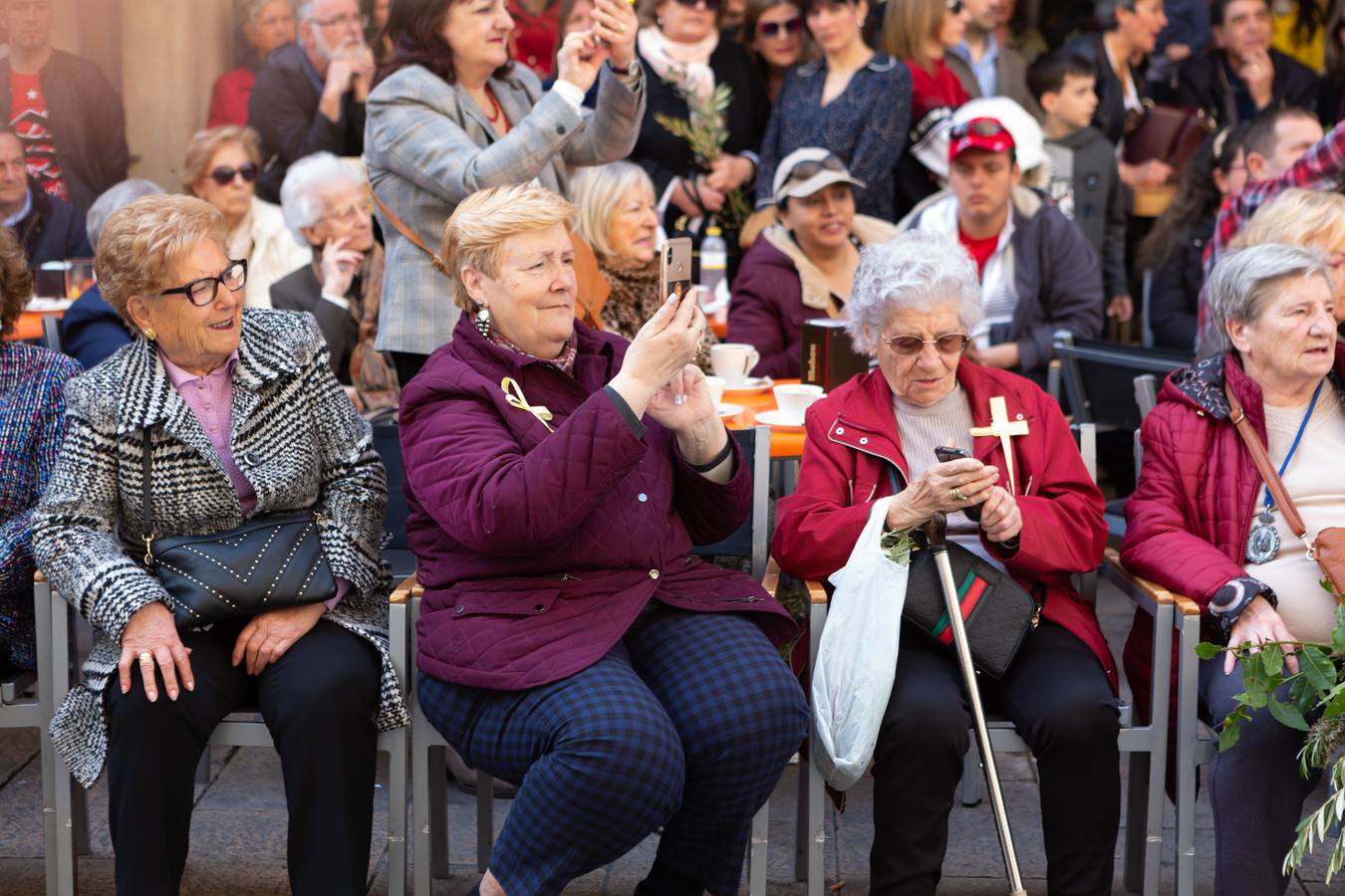 Fotos: La procesión de La Borriquita en Logroño