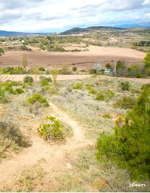 Imagen secundaria 2 - Plaza de Sojuela, vistas desde La Cabañera y sendero junto a Prado Salobre 