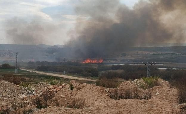 Controlado un incendio forestal en Pradejón