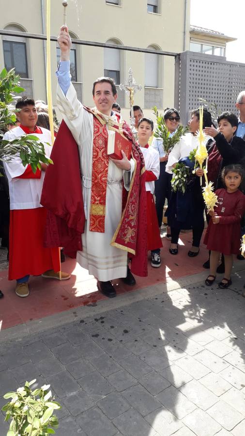 Fotos: El Domingo de Ramos en Alfaro, Arnedo, Cervera, Haro, Nájera y Santo Domingo