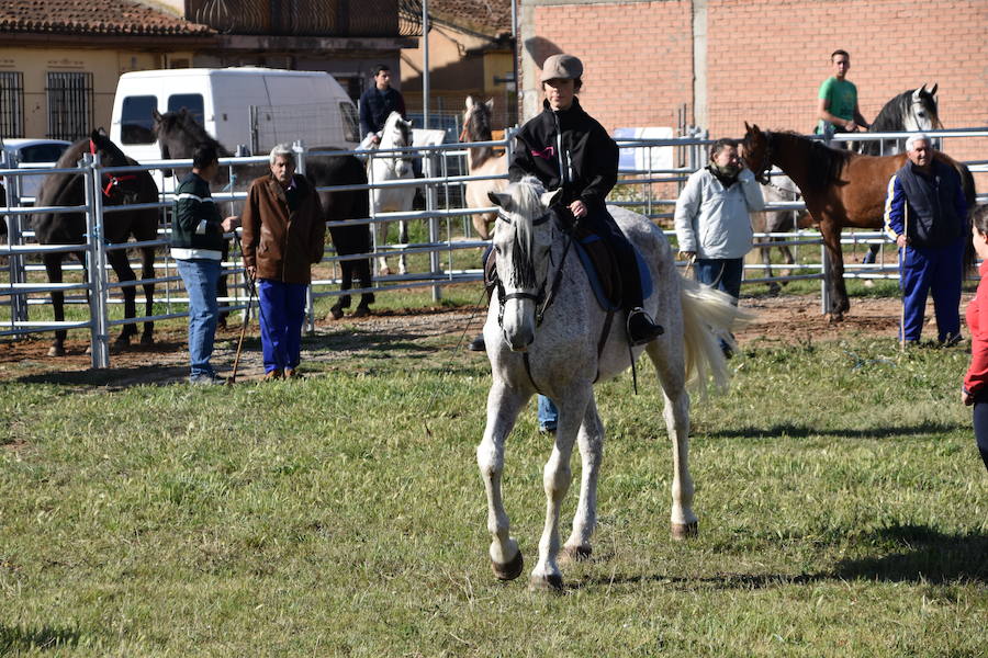 Ceniceros felicita a los rinconeros por mantener la celebración de la Feria de Ganado Equino hasta nuestros días