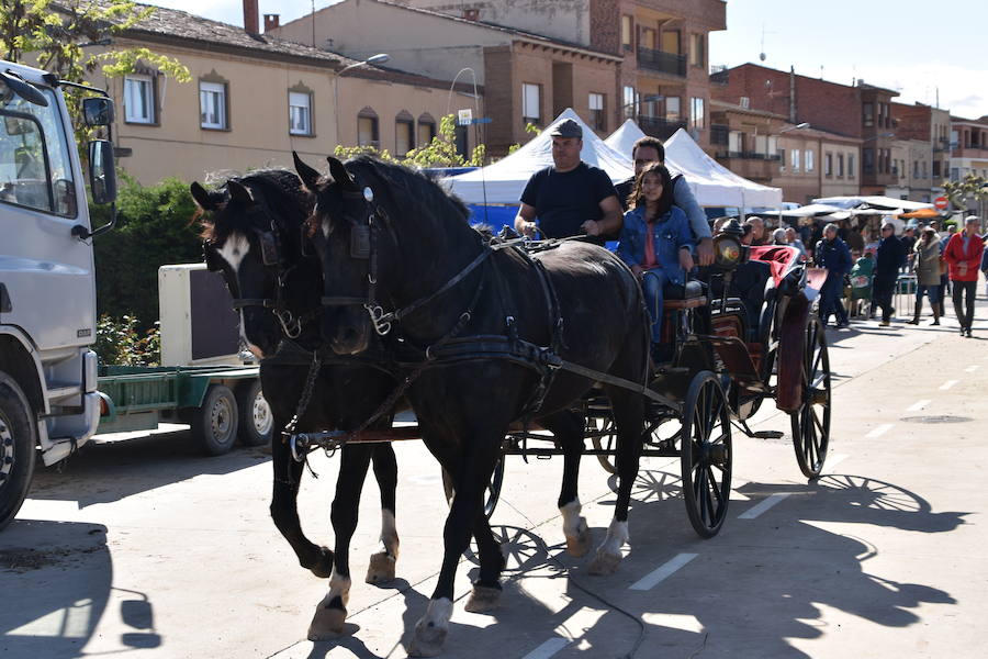 Ceniceros felicita a los rinconeros por mantener la celebración de la Feria de Ganado Equino hasta nuestros días