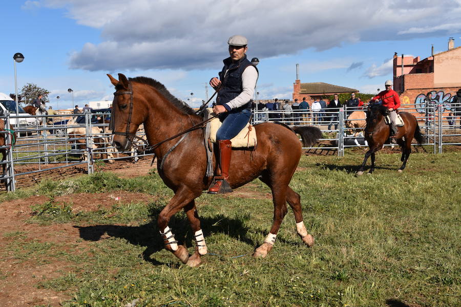 Ceniceros felicita a los rinconeros por mantener la celebración de la Feria de Ganado Equino hasta nuestros días